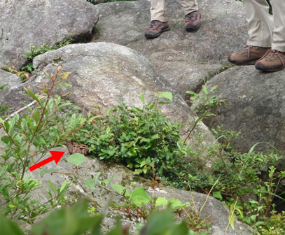c0077338_8563763.jpg