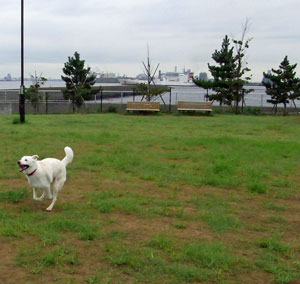 a0117039_23444352.jpg