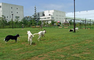 a0117039_2349925.jpg