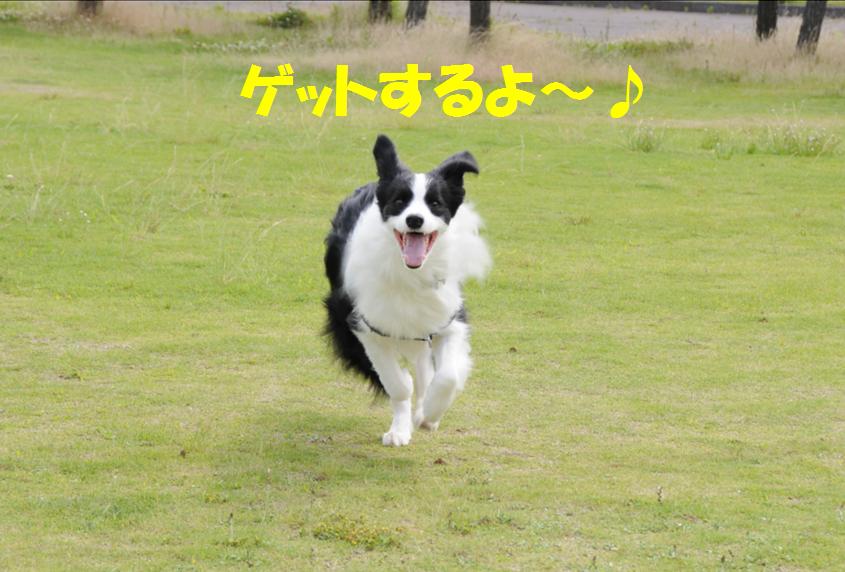 c0147241_12231423.jpg