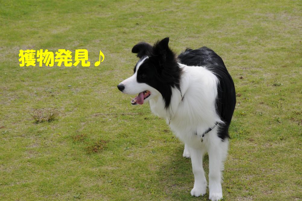 c0147241_1223817.jpg