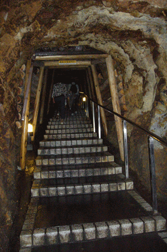 c0093046_730854.gif