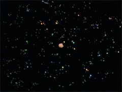 e0005548_04923.gif