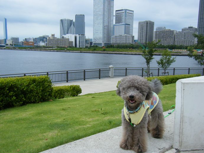 今日は｢海の日｣で～す。_e0129656_22232564.jpg