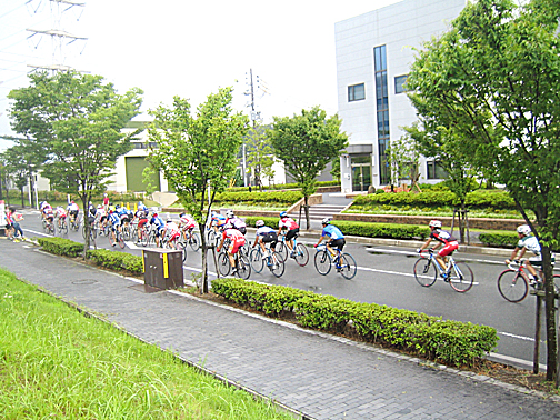 f0156359_21582824.jpg