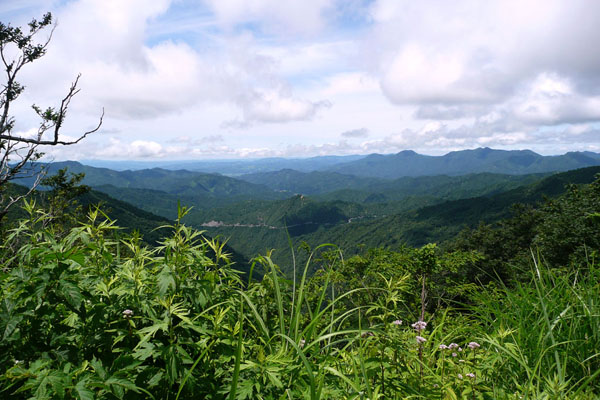 a0083760_23332269.jpg