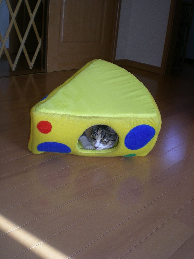 2009年7月20日(月)明と暗、光と影、表と裏!_f0060461_19342443.jpg