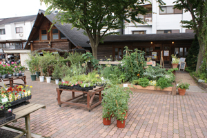 京都その1_d0118072_1437377.jpg