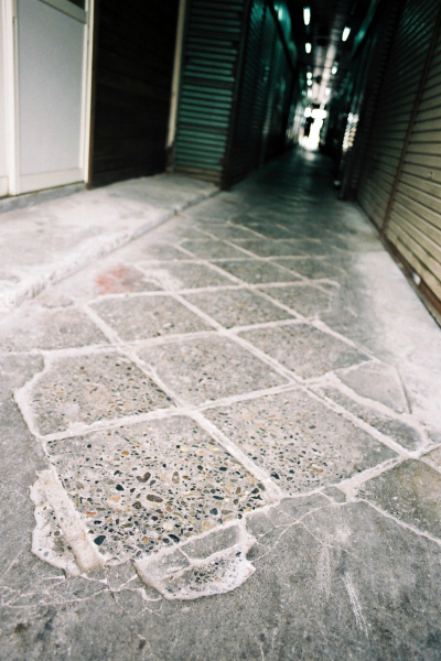 e0051186_200496.jpg