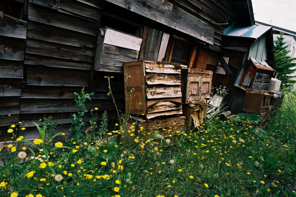 e0051186_2014469.jpg