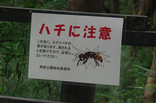 スズメバチに注意 09 7 20 舞岡公園の自然