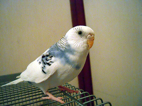d0131293_19273640.jpg