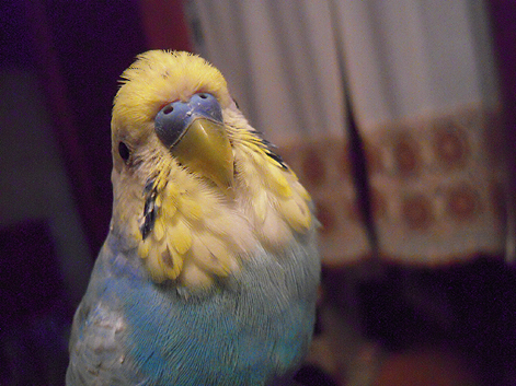 d0131293_19274831.jpg