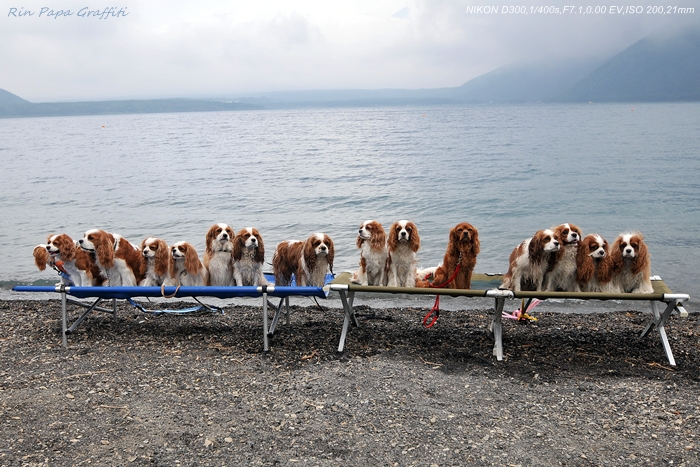 12th_Jury_2009 , Day_Camp in Lake Motosu_a0103596_2026398.jpg