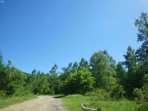 c0050400_0284825.jpg