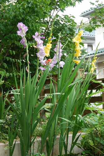 c0124100_1852783.jpg