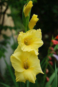 c0124100_1854335.jpg