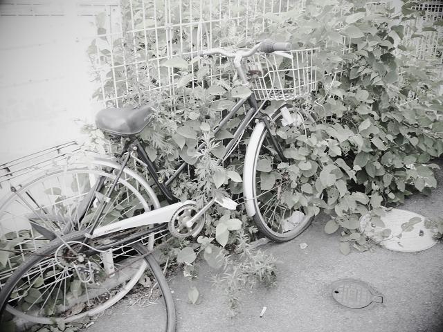 これが現実・・・_c0198903_21144090.jpg