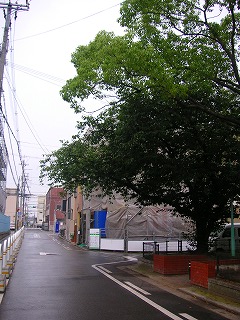 f0197504_013816.jpg