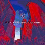 FC東京】 CD 「CITY BRED TWO COLORS」