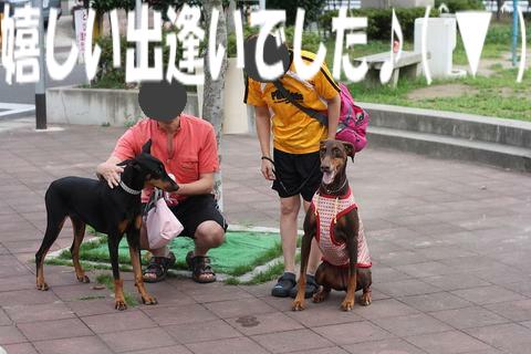 e0100007_21462639.jpg