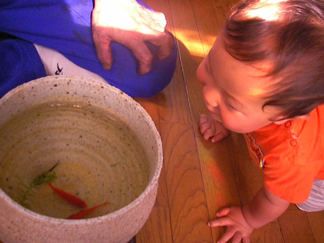 f0038407_1435218.jpg