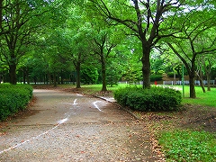 流山5時間大会_a0036808_17143265.jpg
