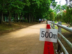 流山5時間大会_a0036808_1793931.jpg
