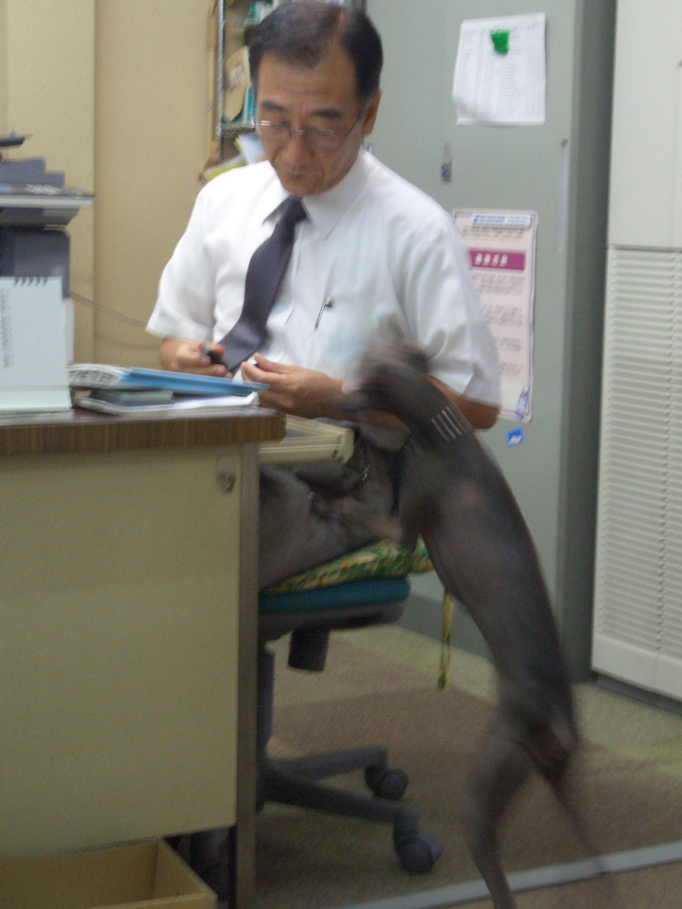 e0141909_23264376.jpg