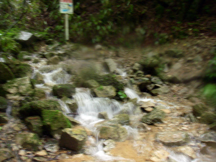 a0062810_2011411.jpg