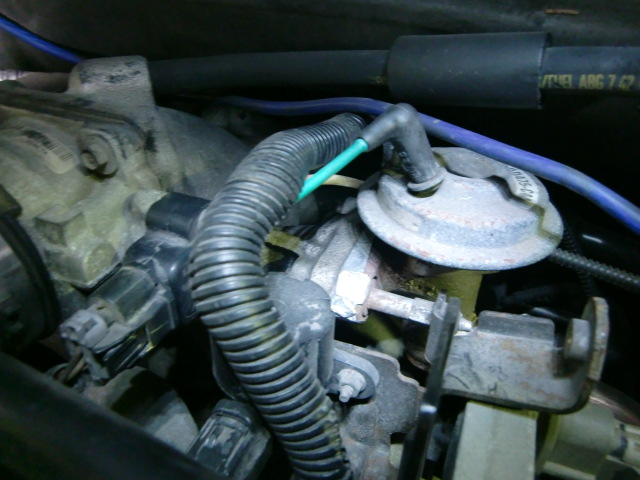 c0118011_21424470.jpg