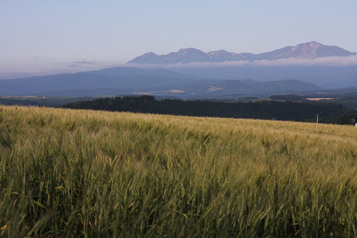 f0139911_215516100.jpg