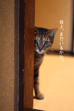 e0156015_0441948.gif