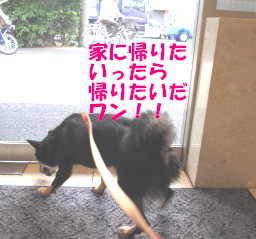c0185516_0104948.jpg