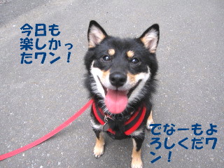 c0185516_091251.jpg