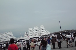 d0023818_965472.jpg