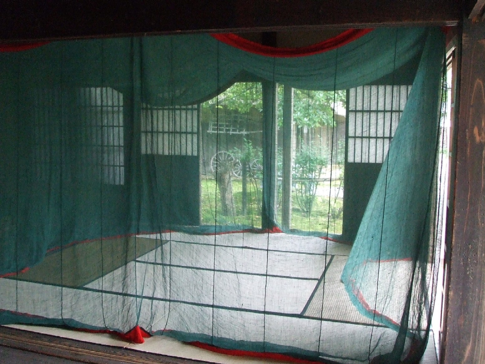 恵みの雨ですね。_e0135219_15114239.jpg