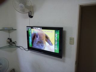 ■ ■ 低予算で壁掛けテレビを ■ ■_b0027225_22522310.jpg