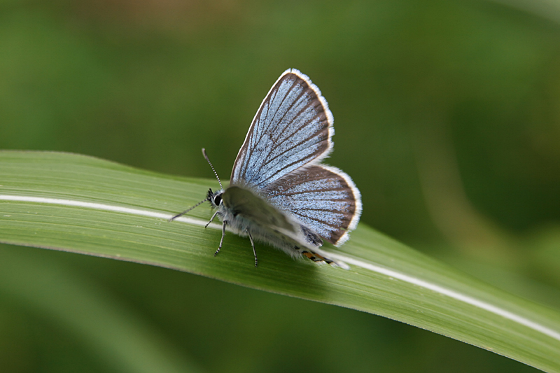 d0054625_23562383.jpg