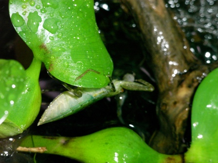 a0123836_04297.jpg