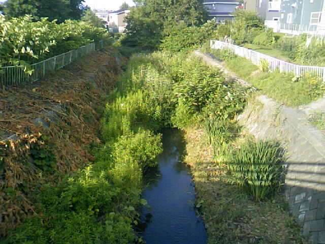 TTGKJKNBNGHN_f0177347_17552283.jpg