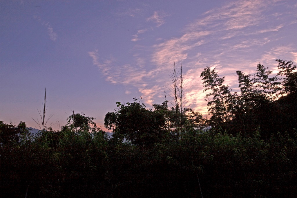 e0163149_198765.jpg
