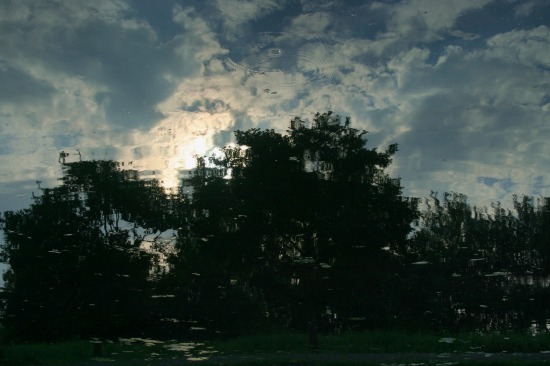 e0126350_23344412.jpg