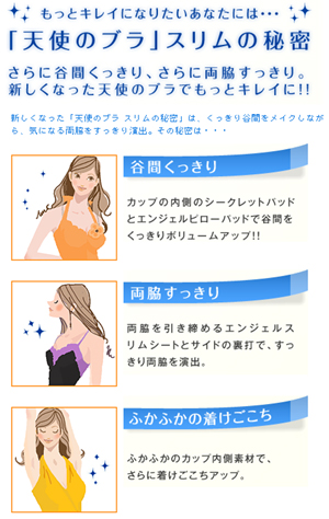 公開中、mixiで見てね!天使のブラ白書_e0044855_23553613.jpg
