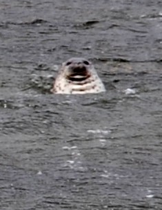 c0047856_2236551.jpg