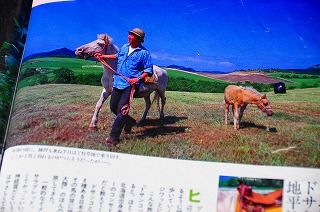 c0047856_2238846.jpg