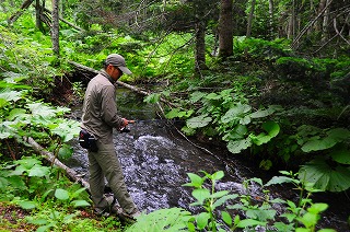 c0047856_22414149.jpg