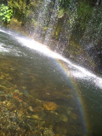 e0098066_94675.jpg