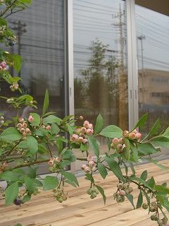 a0063175_23381655.jpg