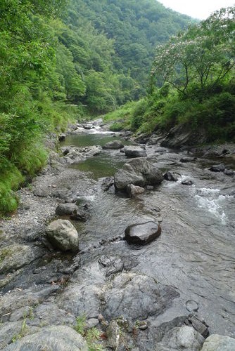 c0177576_0124357.jpg